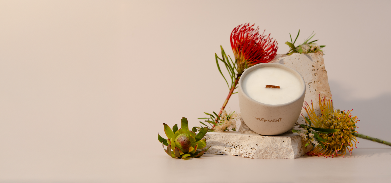 littlebaybeauty.com.au